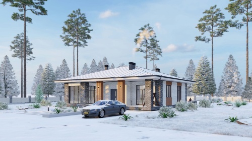 Одноэтажные Одноэтажный дом 144 кв. м 144 кв м - от компании «Arnum» в Казани и Москве