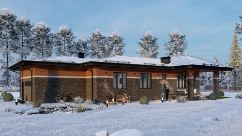 Одноэтажные Одноэтажный дом 201 кв. м. с гаражом 201 кв м - от компании «Arnum» в Казани и Москве