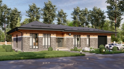 Одноэтажные Одноэтажный дом 201 кв. м. с гаражом 201 кв м - от компании «Arnum» в Казани и Москве