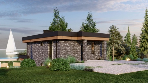 Одноэтажные Одноэтажный дом 175 кв. м. с цокольным этажом Хайтек 175 кв м - от компании «Arnum» в Казани и Москве