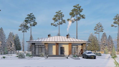 Одноэтажные Одноэтажный дом 144 кв. м 144 кв м - от компании «Arnum» в Казани и Москве