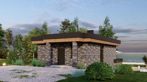 Одноэтажные Одноэтажный дом 175 кв. м. с цокольным этажом Хайтек 175 кв м - от компании «Arnum» в Казани и Москве